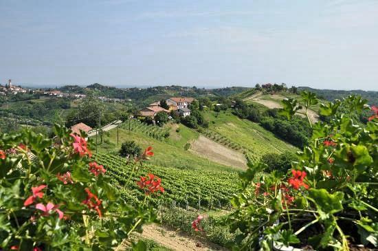 Profumi... Guest House Vinchio Bagian luar foto
